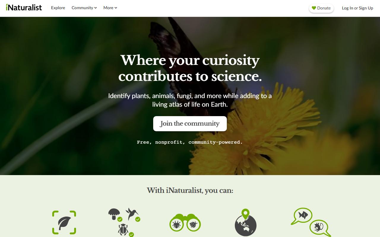 iNaturalist preview 1