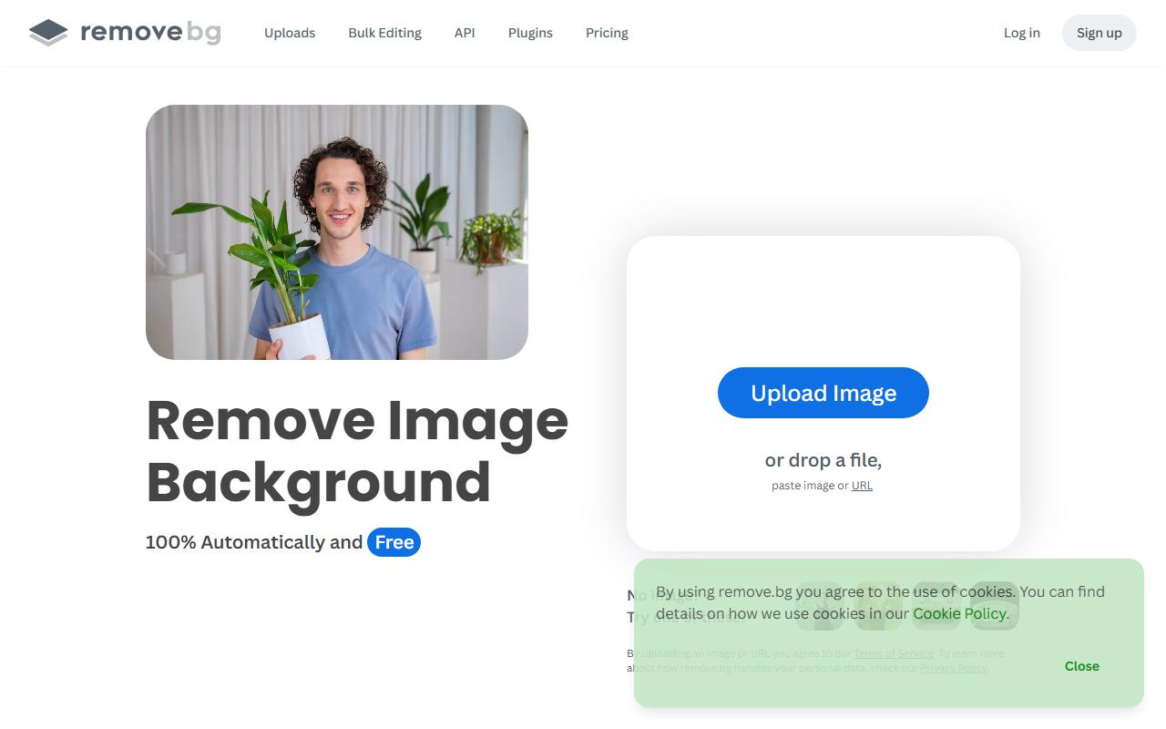 Remove.bg preview 1